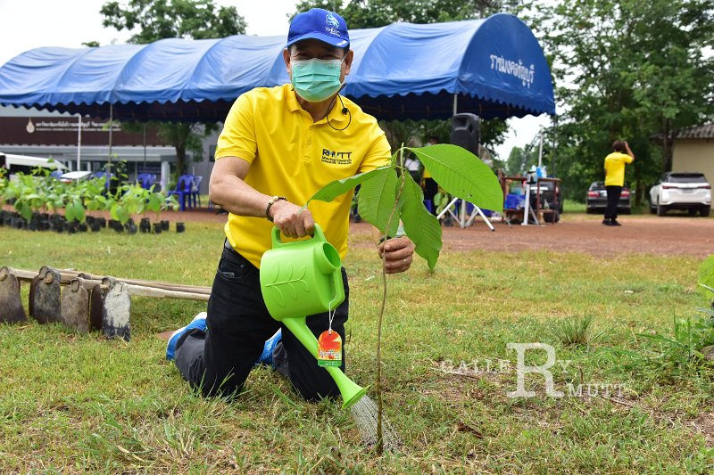20210526-Tree planting dayt-140.JPG